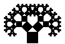Explicamos como se construye el árbol de Pitágoras (fractal) y algunas de sus propiedades. También, modificamos la construcción del fractal para generar otros fractales similares (variantes del árbol). Fractals. Matematicas.