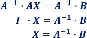 Resolución de ecuaciones matriciales paso a paso. Matriz inversa. Matriz incógnita. Secundaria. Bachillerato. Universidad. Matemáticas. Álgebra matricial.