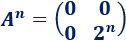 Calculamos potencias enésimas de matrices que siguen un patrón. Bachillerato. Universidad. Matemáticas.