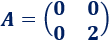 Calculamos potencias enésimas de matrices que siguen un patrón. Bachillerato. Universidad. Matemáticas.