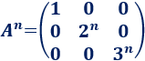 Calculamos potencias enésimas de matrices que siguen un patrón. Bachillerato. Universidad. Matemáticas.